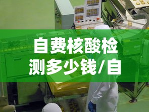 辅助教程分享“玩干瞪眼的技巧攻略	”辅助工具插件,揭秘技巧开挂