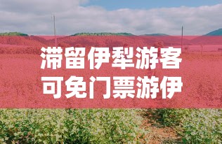实测工具“微信微乐麻将开挂是不是真的	”辅助神器插件下载