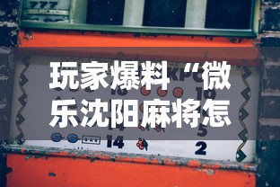 玩家爆料“微乐沈阳麻将怎么能赢”掌握辅助功能必胜规则