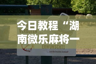 今日教程“湖南微乐麻将一直输(真的有挂)